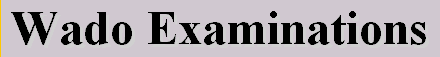 wexaminations, 2356 byte(s).